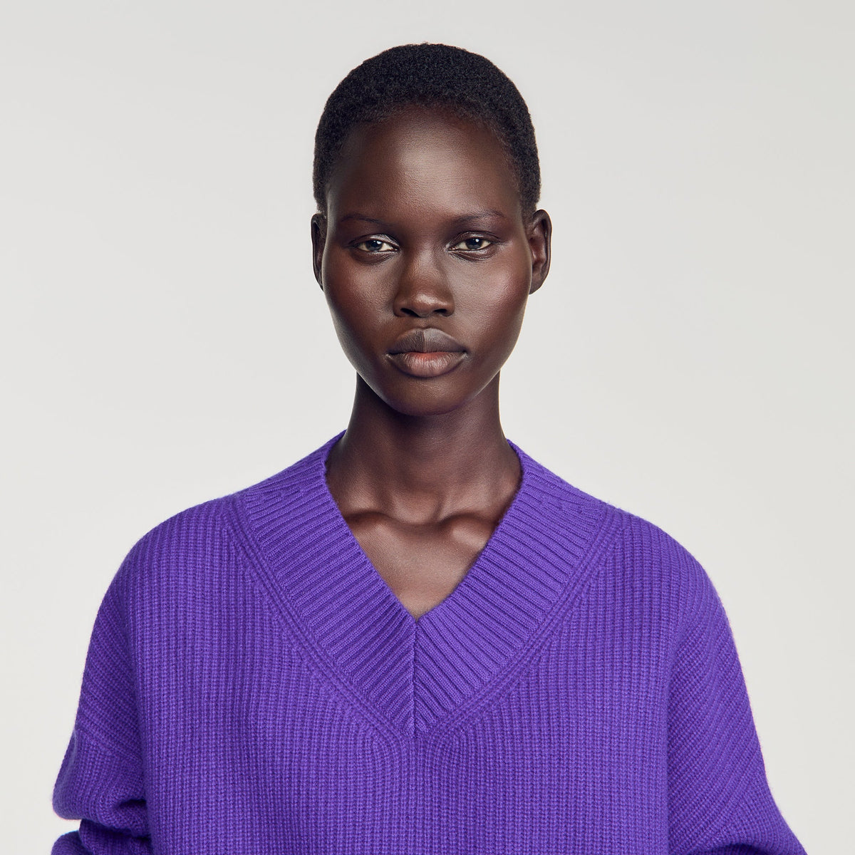 Purple Ribbed Wool And Cashmere Jumper Purple