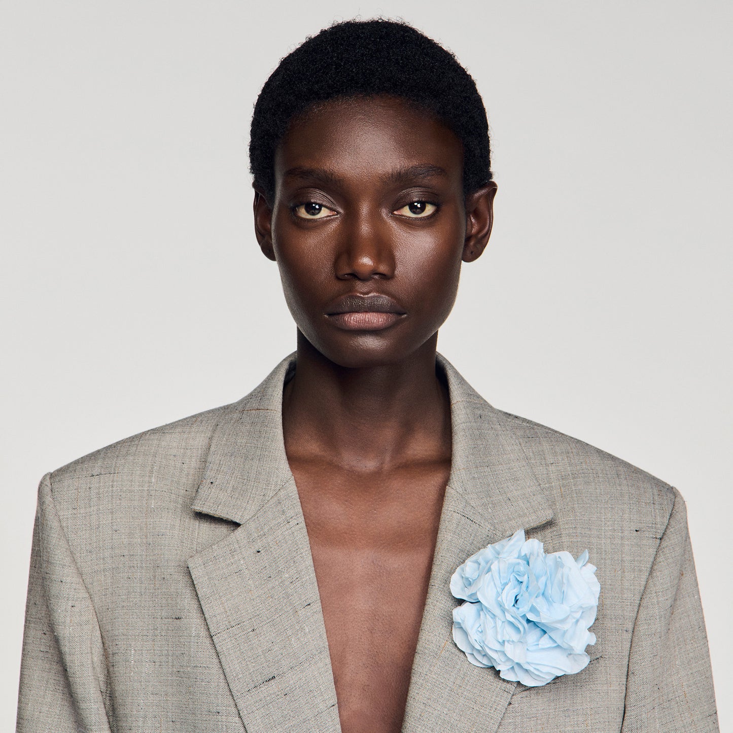 Layden Checked Wool Jacket With Brooch GREIGE