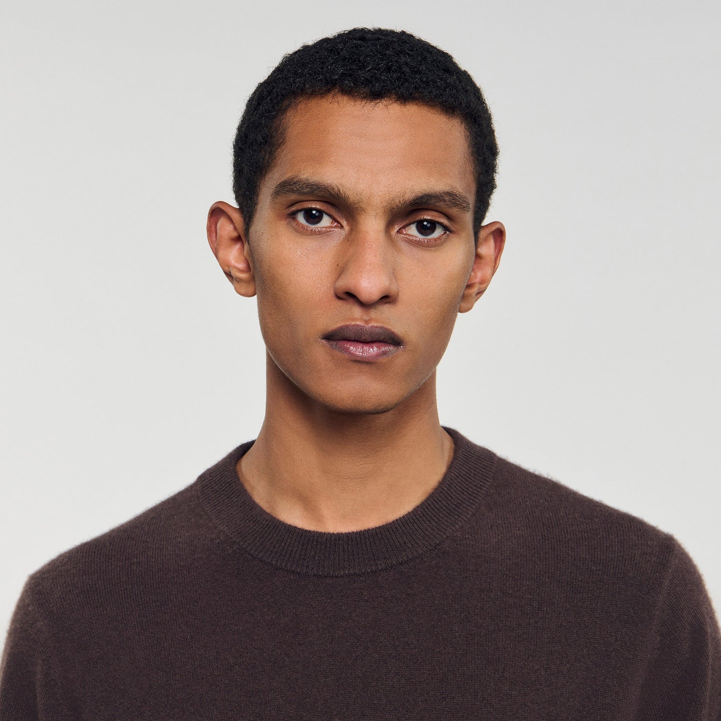 Crewneck Cashmere Cashmere Sweater Taupe